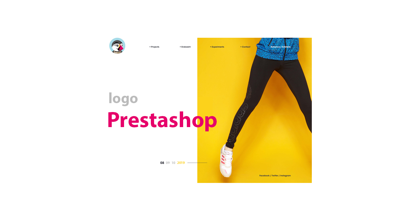 Logo PrestaShop: Complete tutorial